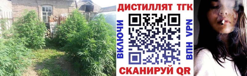 ТГК THC oil  ссылка на мегу ссылка  Медногорск 